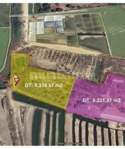 Cần Bán Đất 4500m2 Ngang 85mx60m, Đường Duyên Hải, Long Hòa, Cần Giờ,