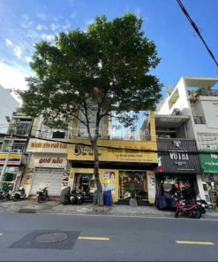 Mặt Tiền Đồng Đen, Quận Tân Bình. Dt : 5.3x28m. Cấp 4. Chỉ 23,5 tỷ