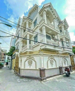 CHÍNH CHỦ BÁN BIỆT THỰ HẺM XE HƠI — PHƯỜNG PHÚ THUẬN, QUẬN 7 — NHÀ ĐẸP, VỊ TRÍ GÓC, VÀO Ở NGAY